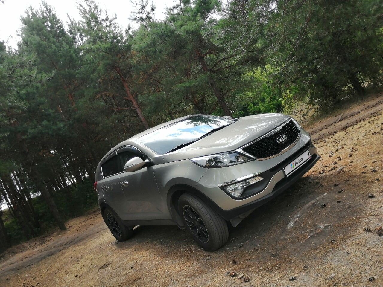 Kia Sportage: фото владельца
