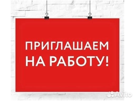 Сотрудник склада без опыта