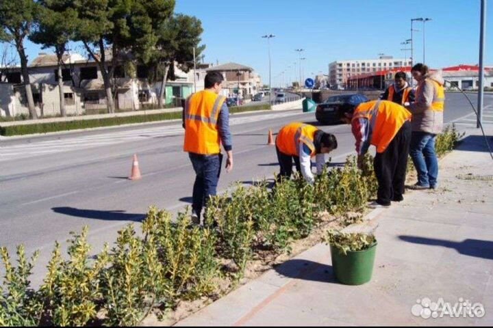 Подсобники разноробочие