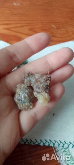 Живица кедровая