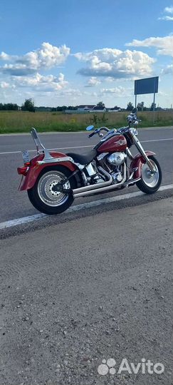Harley davidson fat boy