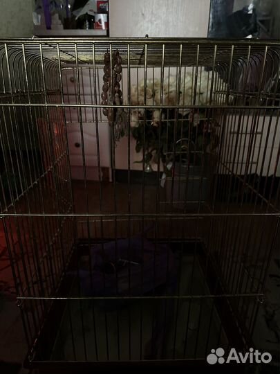 Клетка для крупного попугая