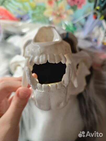 Фурсьют скалл дог