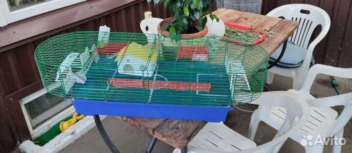 Клетка для грызунов большая