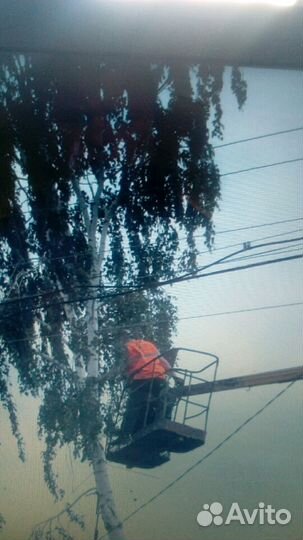 Опиловка деревьев