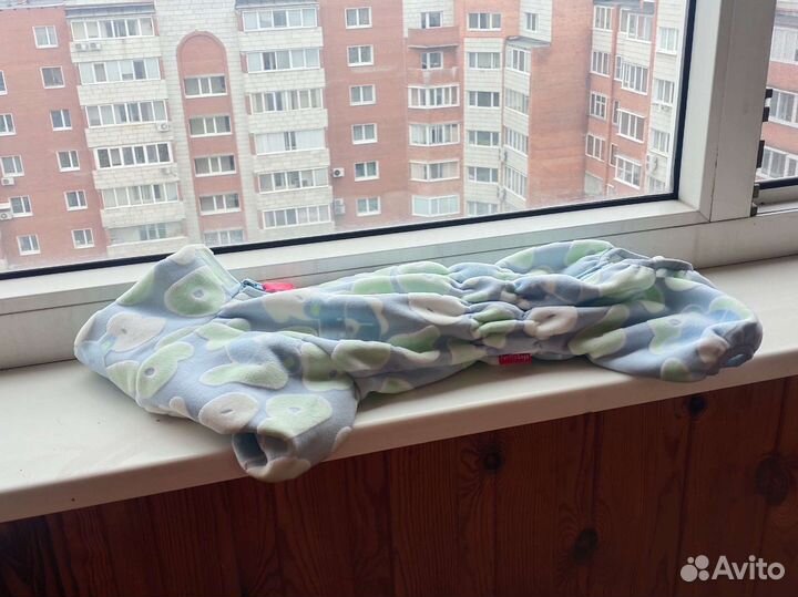 Одежда для собак