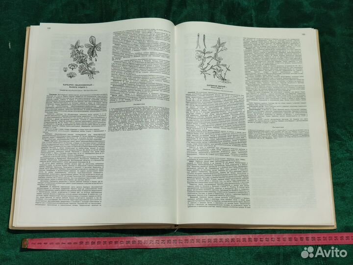 Атлас ареалов и ресурсов лекарственных растений