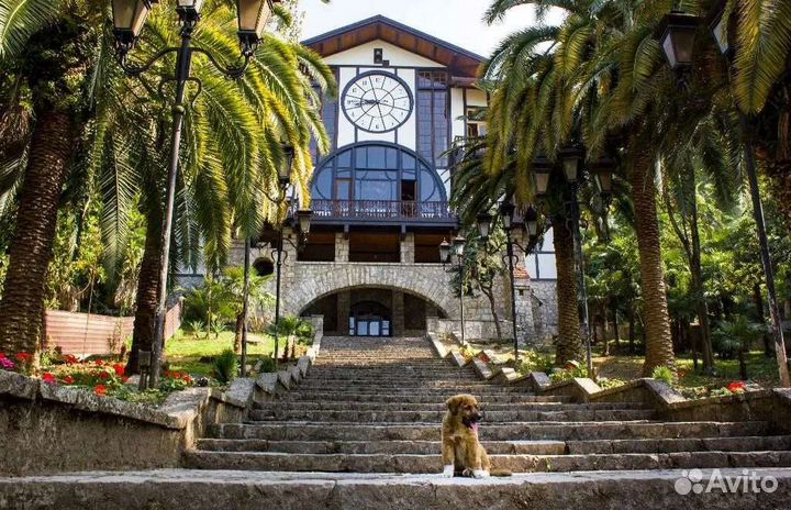 Экскурсия на Термальные источники Кындыг / Абхазия