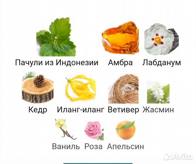 Распив 5мл Dali Haute Parfumerie Calise