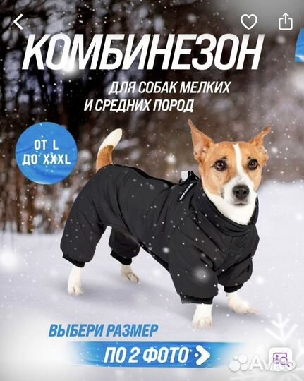 Одежда для средних собак