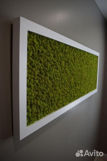 Панно из мха рамка цвет белый