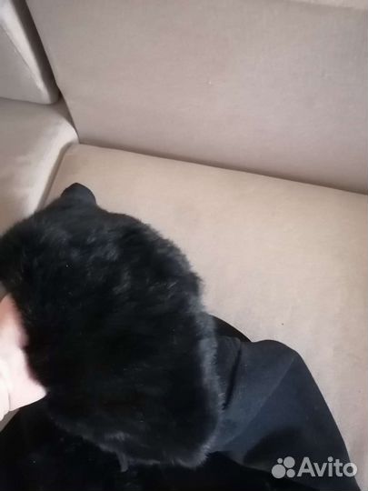 Женская одежда