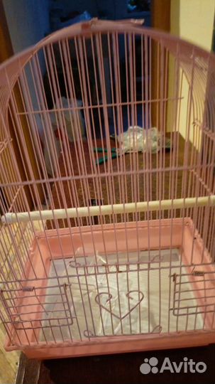 Клетка 22 41 30