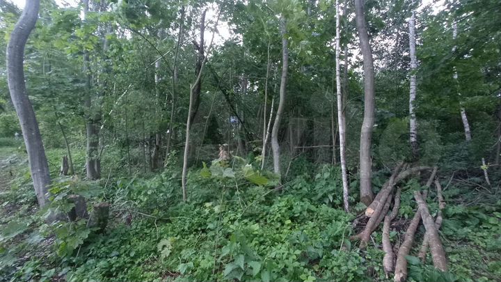 Участок 9 сот. (СНТ, ДНП)