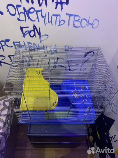 Клетки для крыс