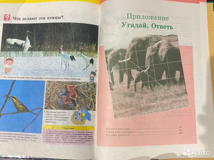 Деская книга