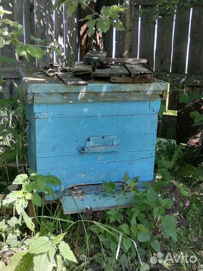 Улей для пчел