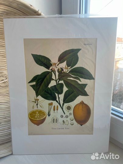 Постеры 30/40см новые