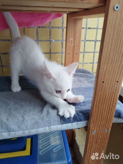 Девочка малышка