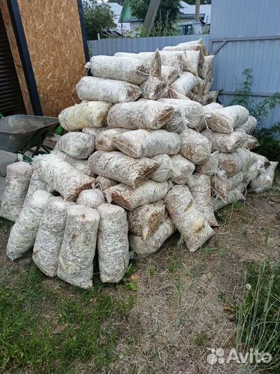 Грибные блоки солома