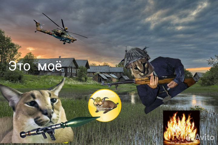 Картинки с мемами