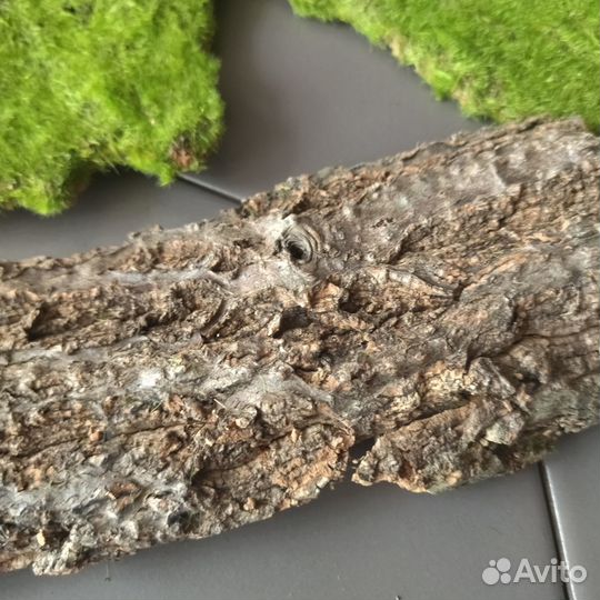 Фон для фото. Комплект. Мох и кора дерева