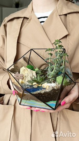 Флорариум подарок