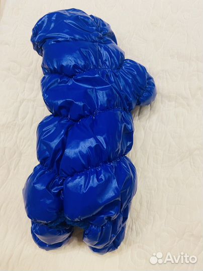 Домашние животные собаки маленькие