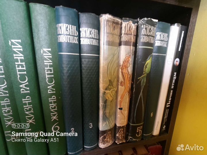 Энциклопедии жизнь растений жизнь животных