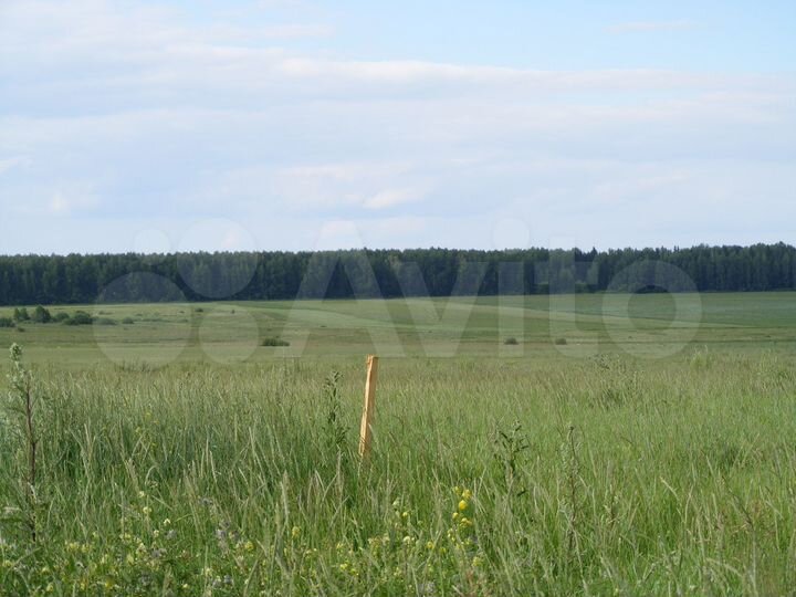 Участок 22 га (СНТ, ДНП)