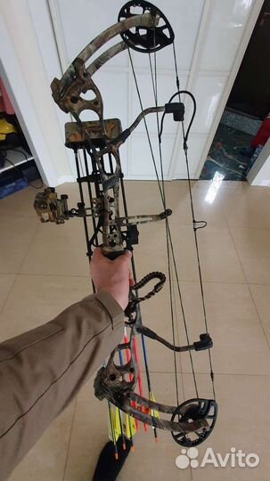 Блочный лук bear