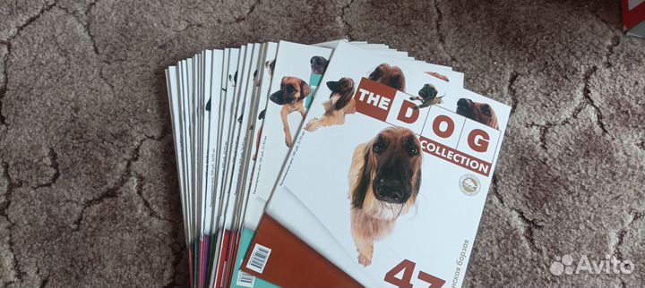 The dog collection