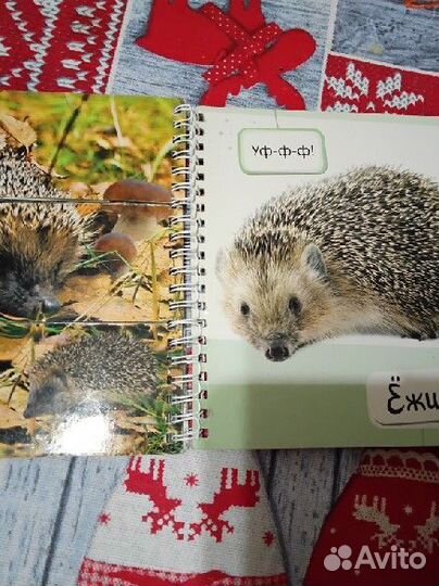 Детская обучающая книга