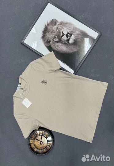 Футболка мужская Brunello Cucinelli