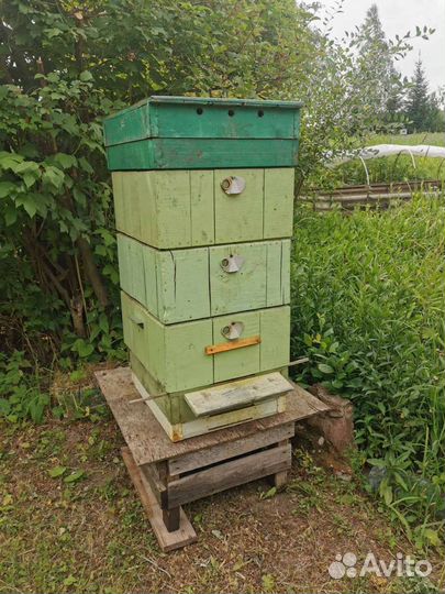 Улей для пчел 3х этажный с рамками