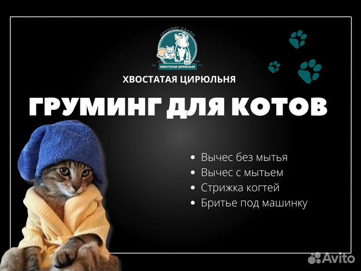 Груминг для котов