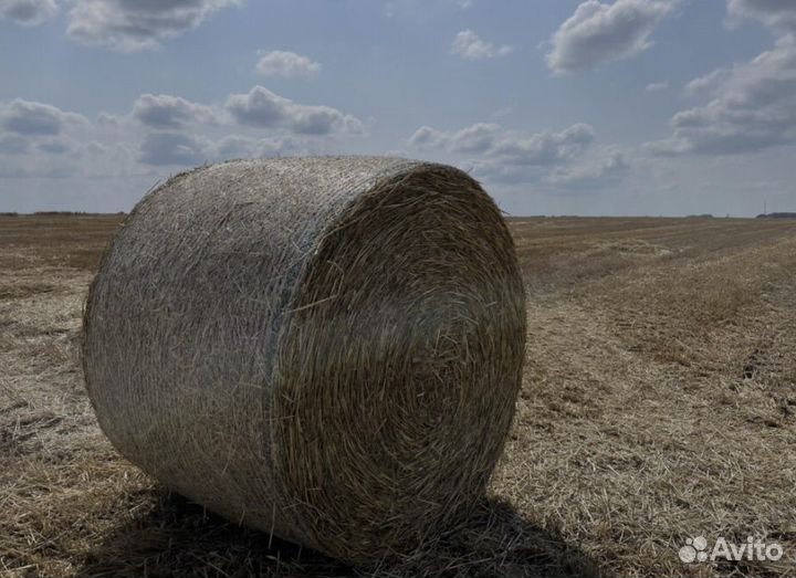 Продажа тюков сена и соломы