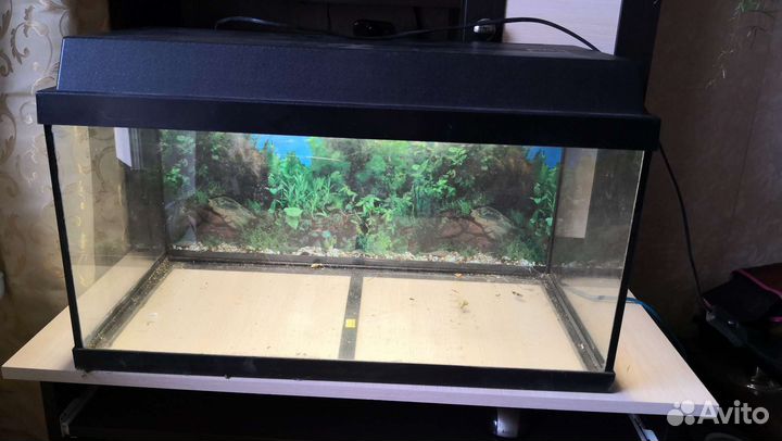 Аквариум 60 литров