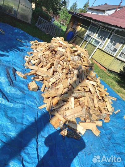 Дрова колотые березовые