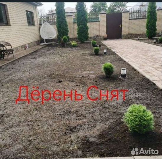 Озеленение
