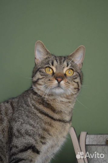 Мигель ищет человека, с которым можно подружиться