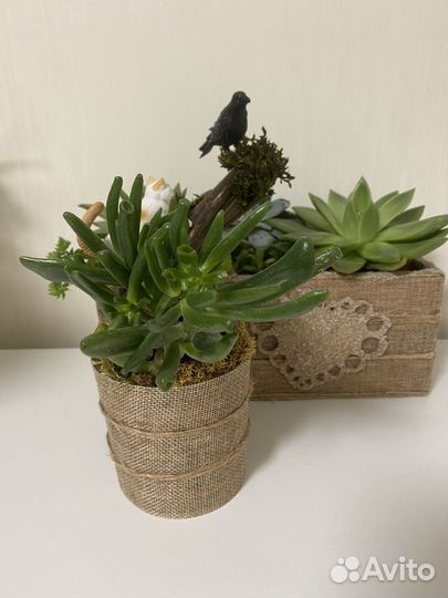 Дэкор для интерьера