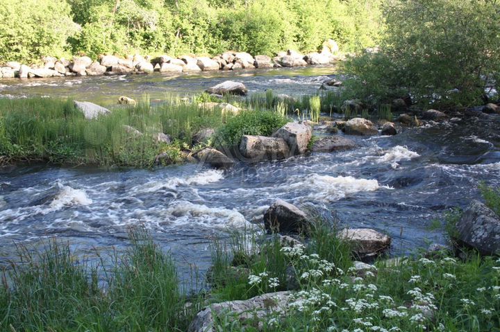 Участок 20 сот. (ИЖС)