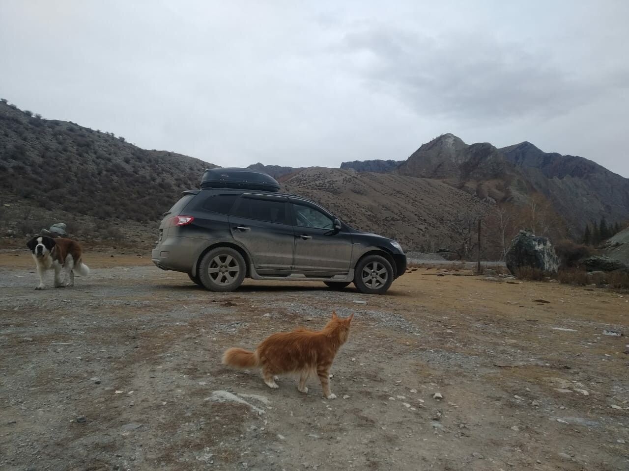 Hyundai Santa Fe: фото владельца