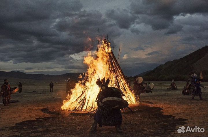 Чай пуэр « Космос шаманов » шмн14683