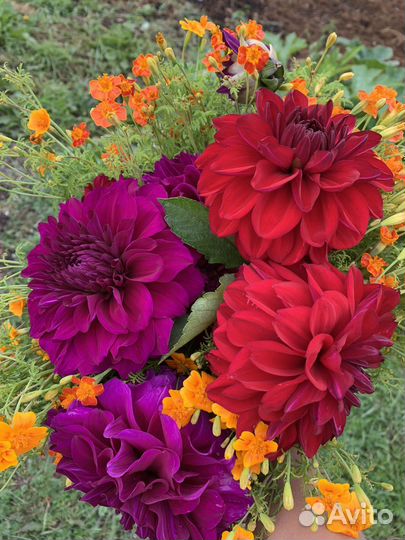 Букеты к перекличке и на 1 сентября