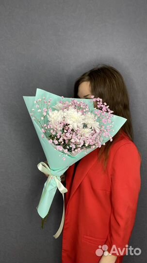 Цветы. Хризантема. Гипсофилы