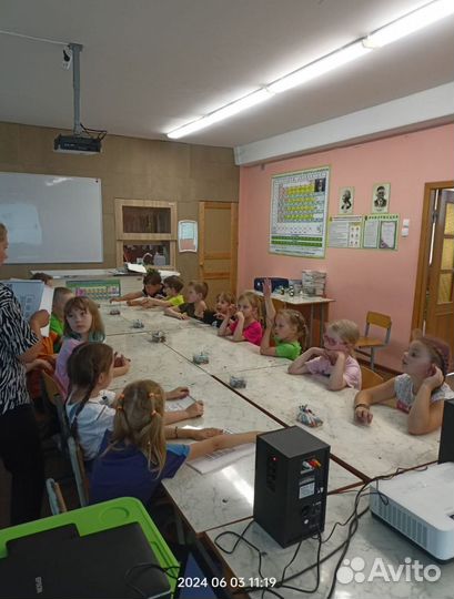 Продам готовый бизнес рисунки лесные жители