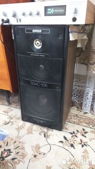 Колонки вега 50ас 106