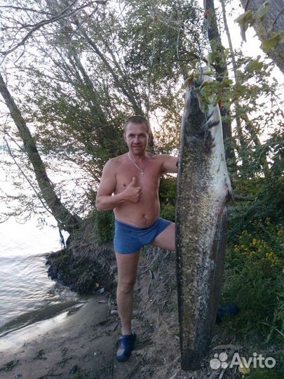 Черви Выползки лесные для рыбалки крупной рыбы